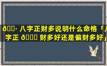 🌷 八字正财多说明什么命格「八字正 🍀 财多好还是偏财多好」